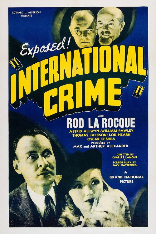 International Crime Poster