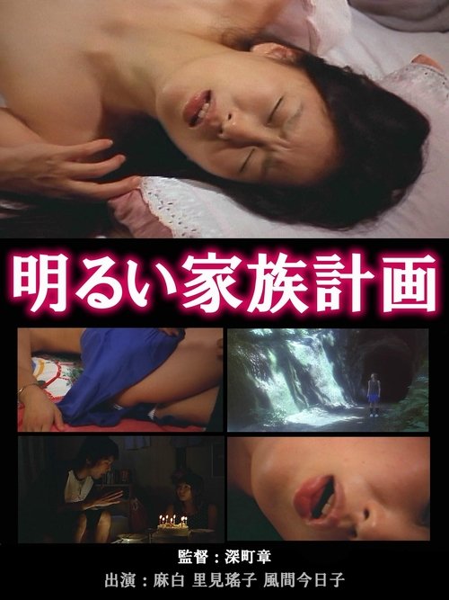 The Novelist's Affair: The Pleasures of Infidelity Poster