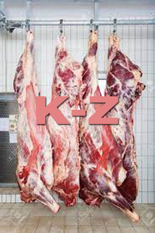 K-Z Poster
