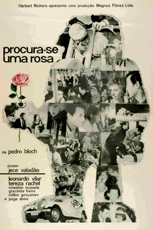 Procura-se Uma Rosa Poster
