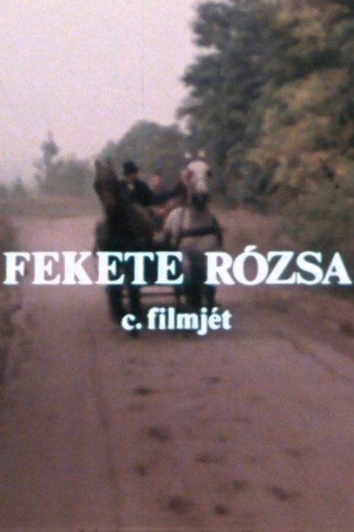 Fekete rózsa Poster