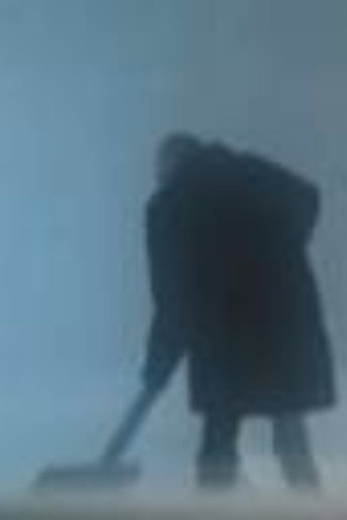 Land Surveyor Poster