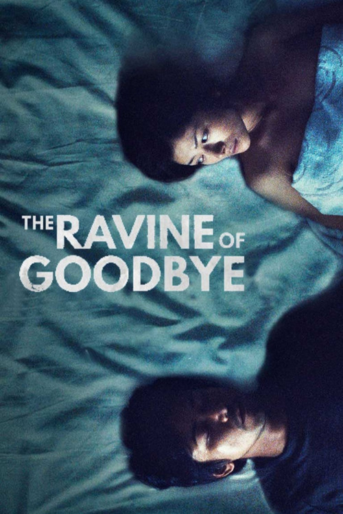 The Ravine of Goodbye Poster