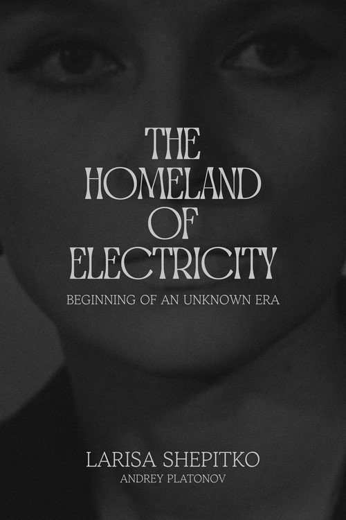 The Homeland of Electricity Poster