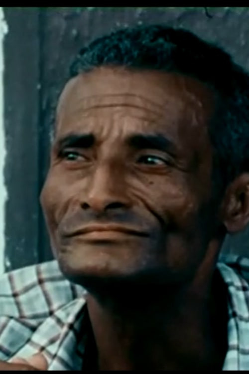 Memórias da Vida e do Trabalho Poster