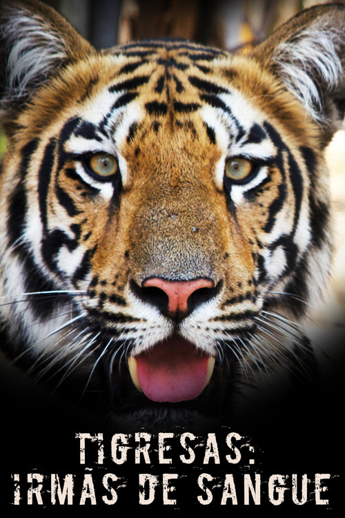 Tigress Blood Poster