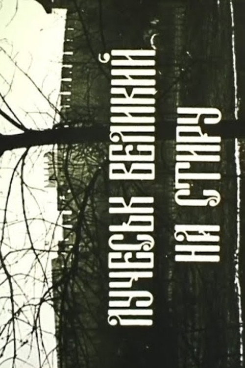 Luchesk is Large on the Styr River Poster