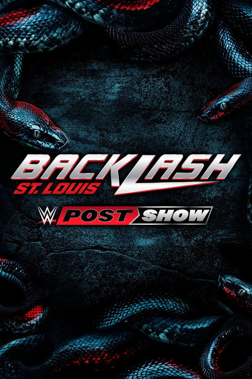 WWE Backlash 2025 Post Show Poster
