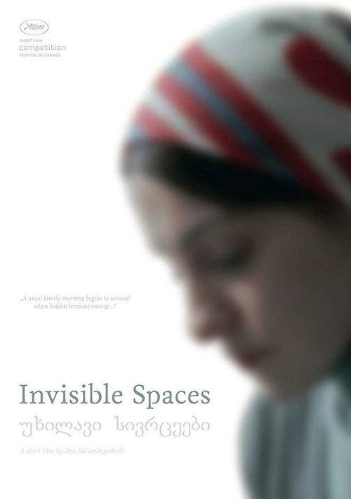 Invisible Spaces Poster