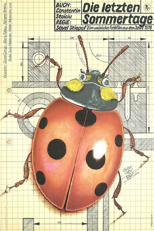 Last Days of Summer Poster