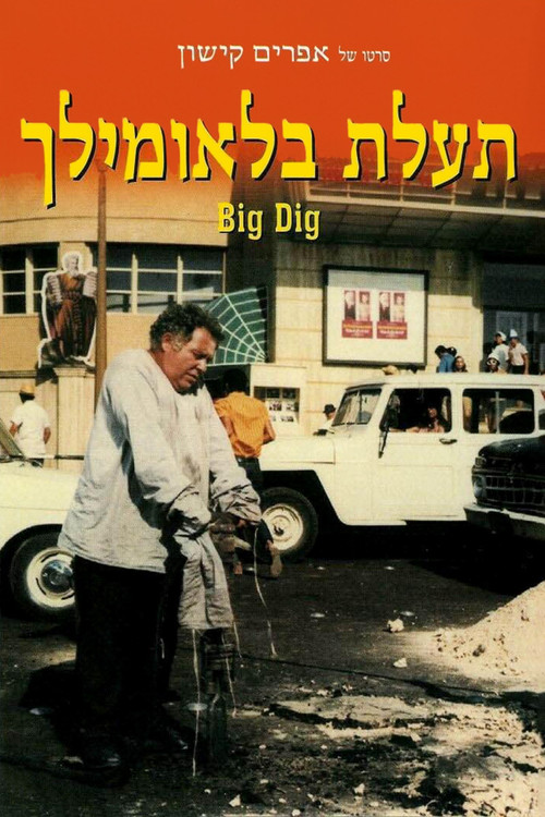 The Big Dig Poster