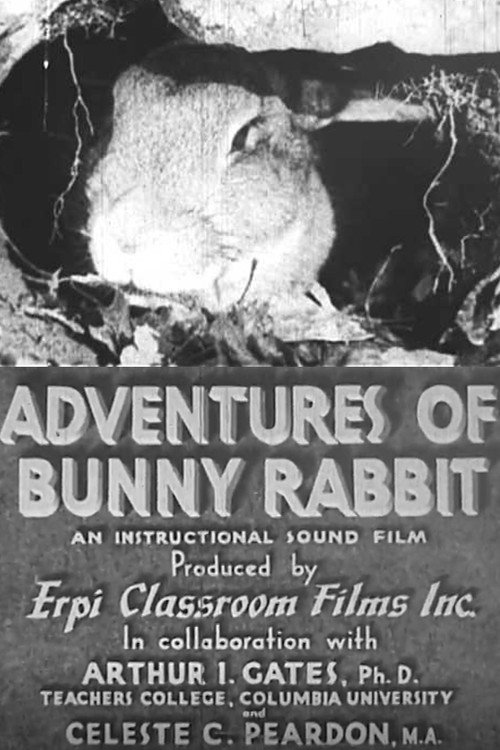 Adventures of Bunny Rabbit Poster