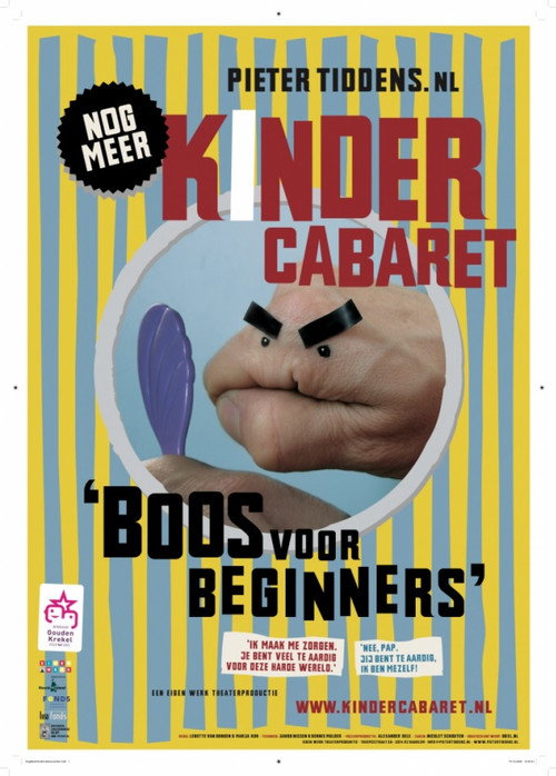Pieter Tiddens: Boos voor Beginners Poster
