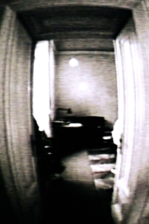 I Fratelli Castiglioni Poster