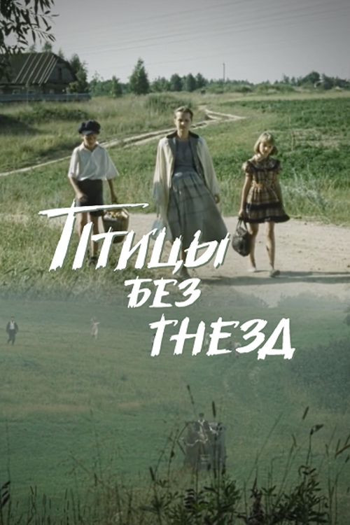 Birds Without Nests Poster