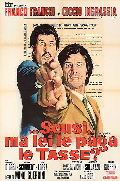 ...Excuse Me, Do You Pay Taxes? Poster