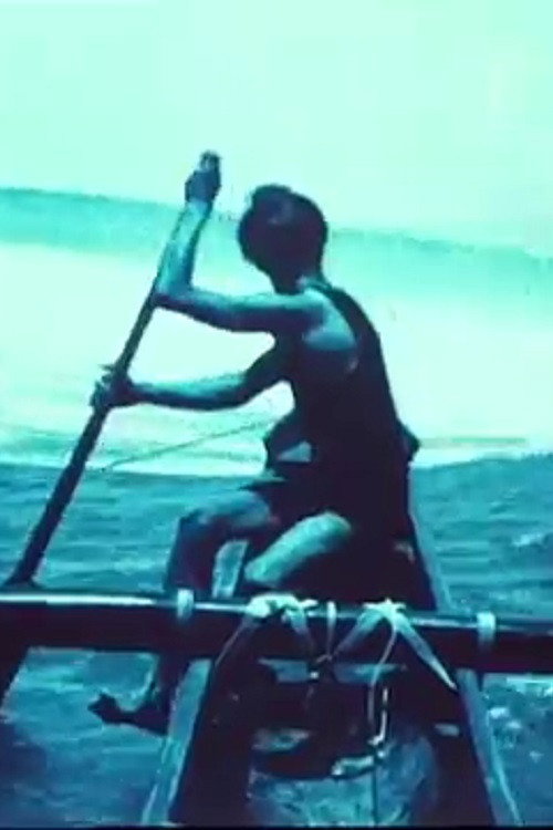 Hawaii: The Paradise of the Pacific Poster