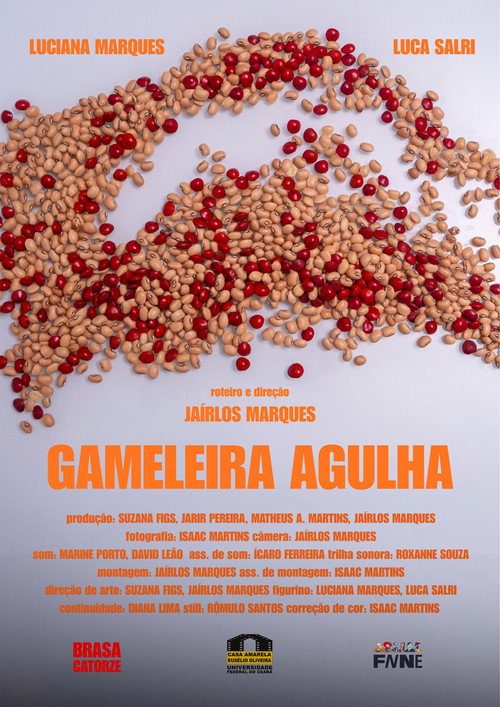 Gameleira Agulha Poster