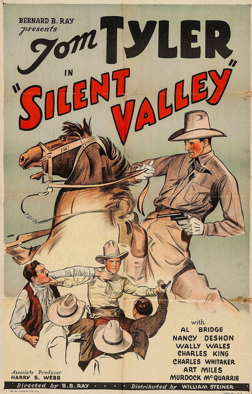 Silent Valley Poster