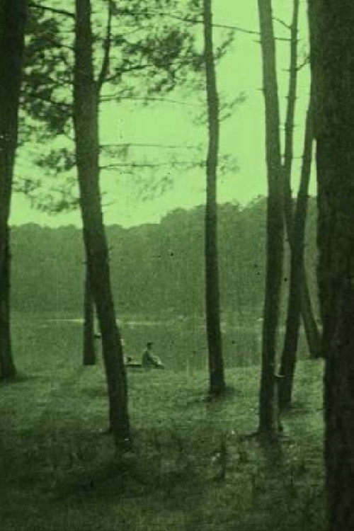 Biarritz y sus alrededores Poster