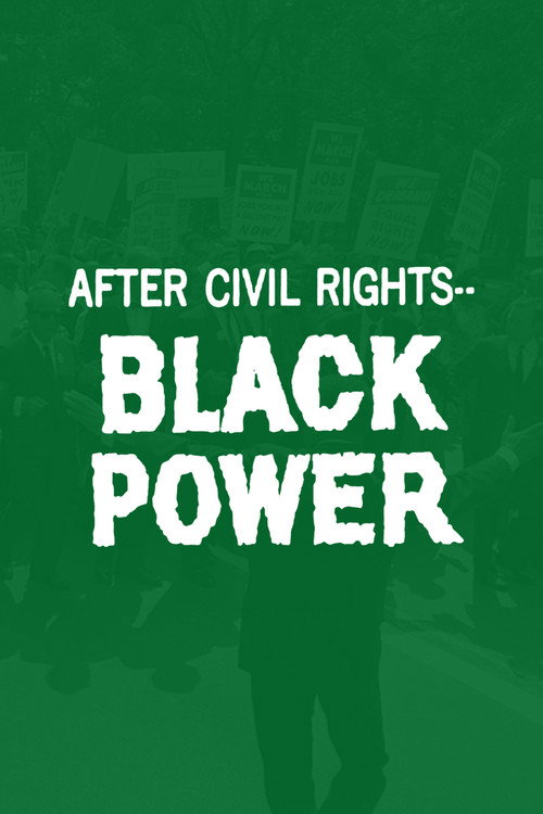After Civil Rights... Black Power Poster