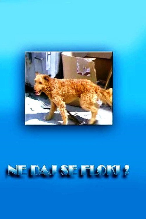 Don't Give in, Flockey! Poster