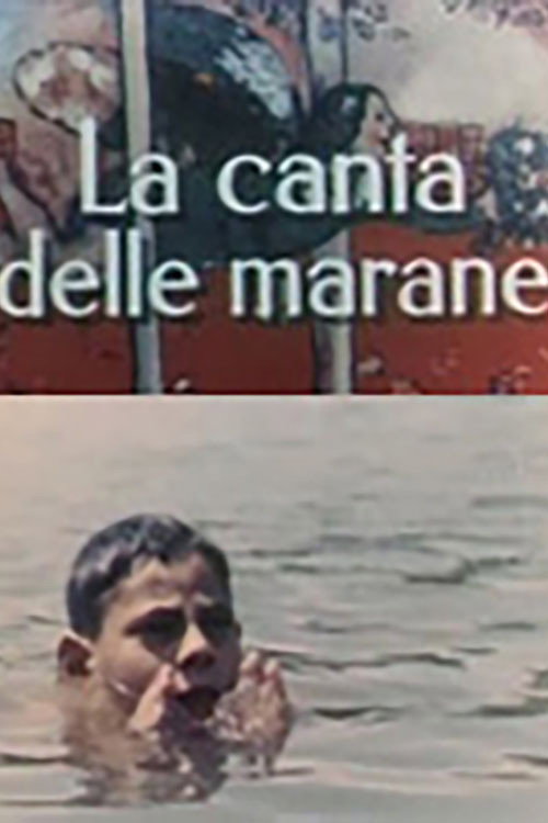 The Marshes' Chant Poster