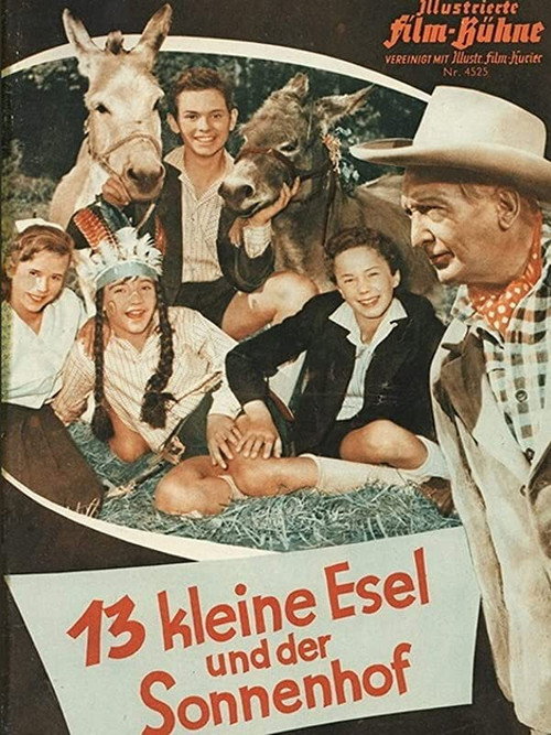 13 Little Donkeys and the Sun Court Poster