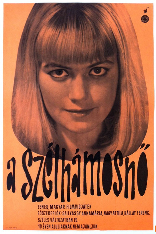Miss Windbag Poster