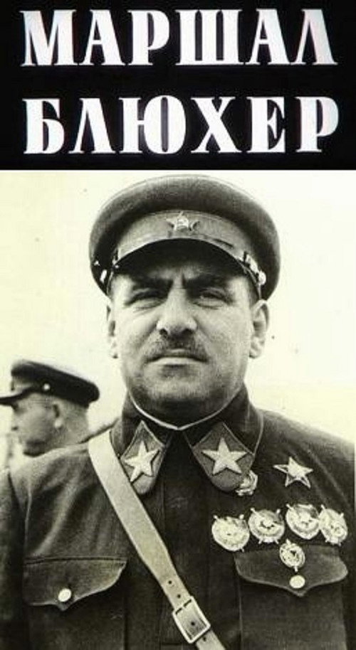 Marshal Blucher: A Portrait Against the Background of an Epoch Poster