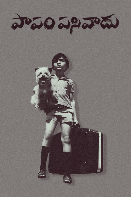 Papam Pasivadu Poster