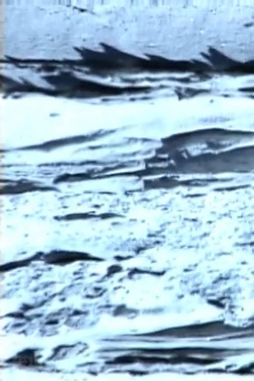 ws.3 Poster
