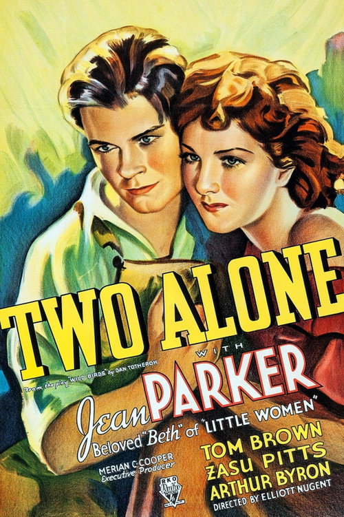 Two Alone Poster