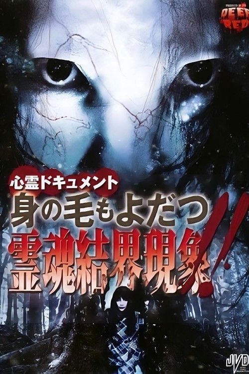 Psychic Documentary: Hair-Raising - Spirit Soul Boundary Phenomenon!! Poster