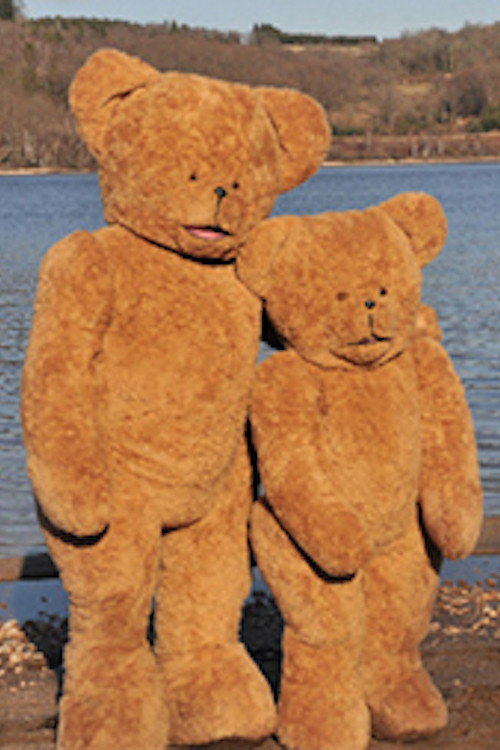 La vie lointaine Poster