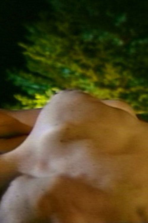 Heads or Tails Poster