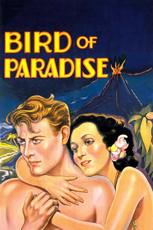 Bird of Paradise Poster