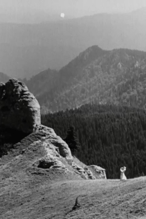 The Queen's Flower Poster