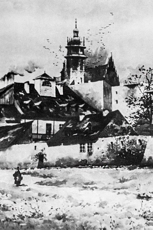 Living Stones Poster