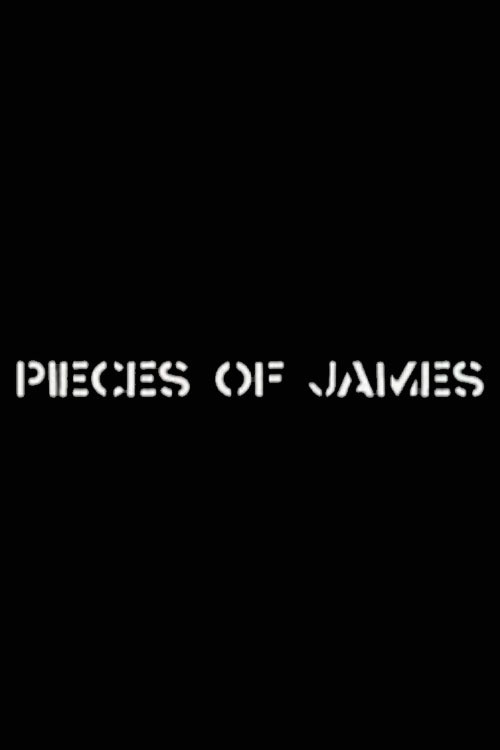 Pieces of James: An Enquiry Into the Art and Life of James Manning Poster