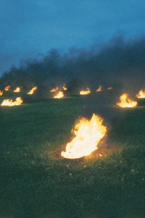 Landscape for Fire Poster