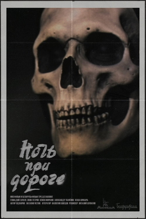 Night on the Road Poster