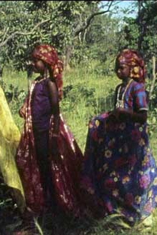 La Femme Volée Poster