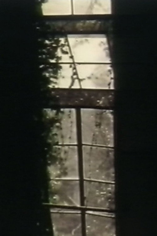 See Through The Shadow Of Darkness Poster