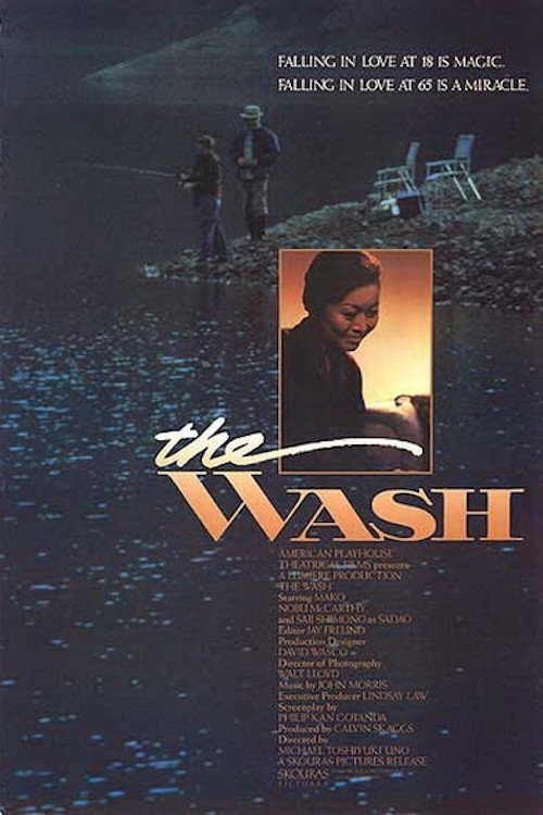 The Wash Poster