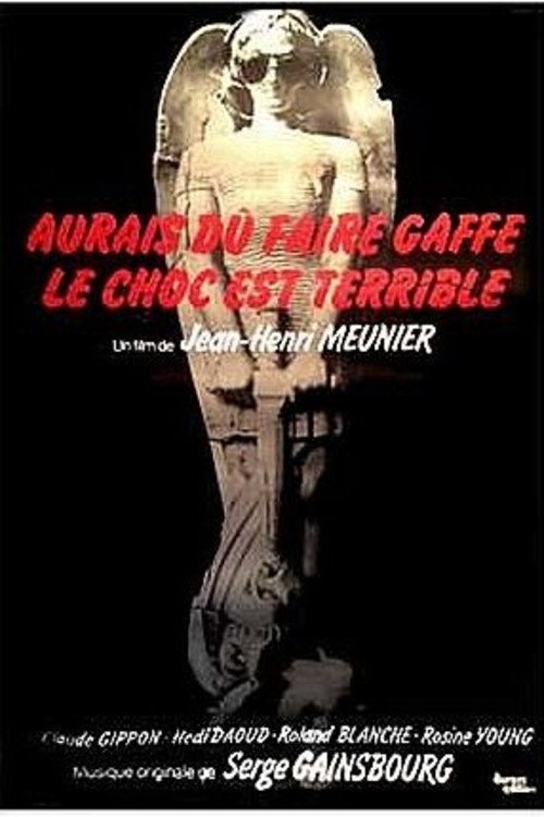 Aurais dû faire gaffe... le choc est terrible Poster