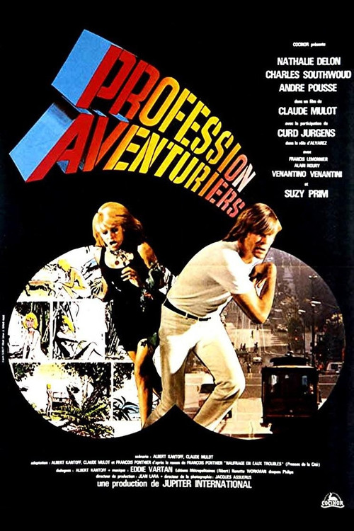 Profession: Adventurers Poster