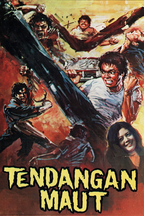 Deadly Kick Poster