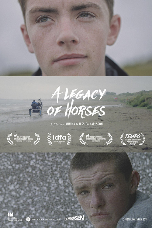 A Legacy of Horses Poster