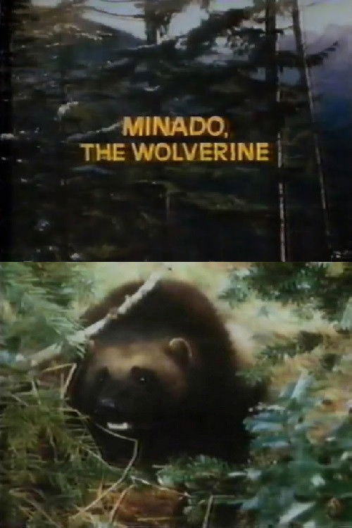 Minado, the Wolverine Poster